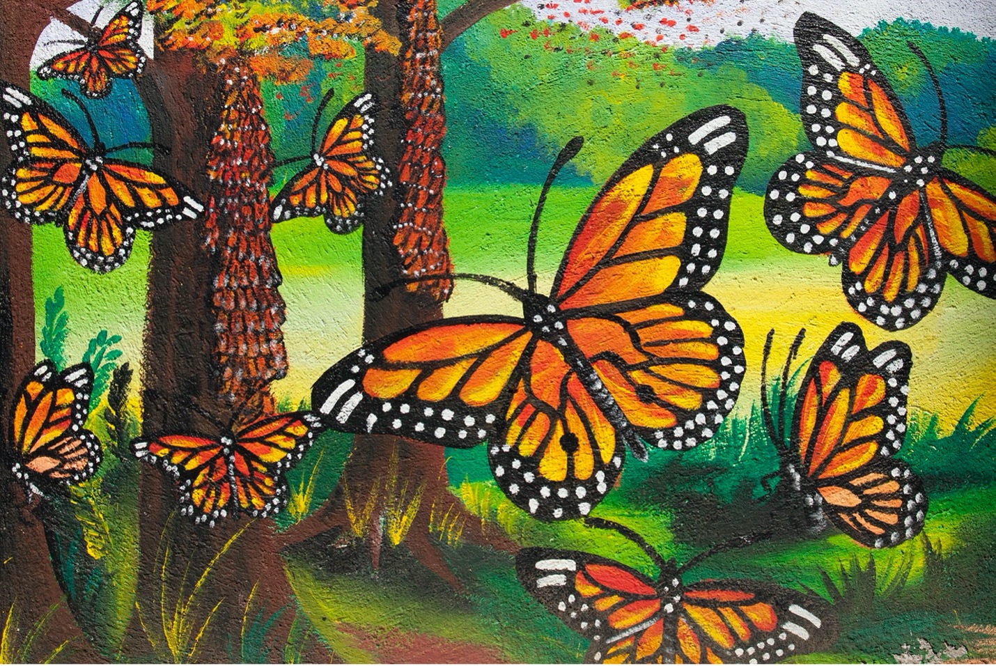 a mural at El Rosario biosphere reserve showcases a brilliant monarch butterfly