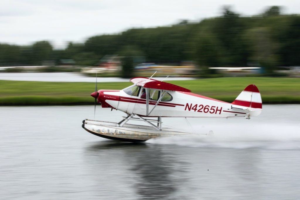 a small plan is in focus as the water its landing on is blurred in the background