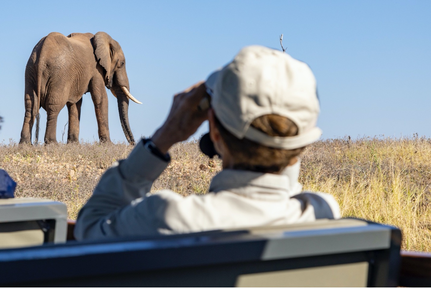 a traveler peers at an elephant on the shoreline