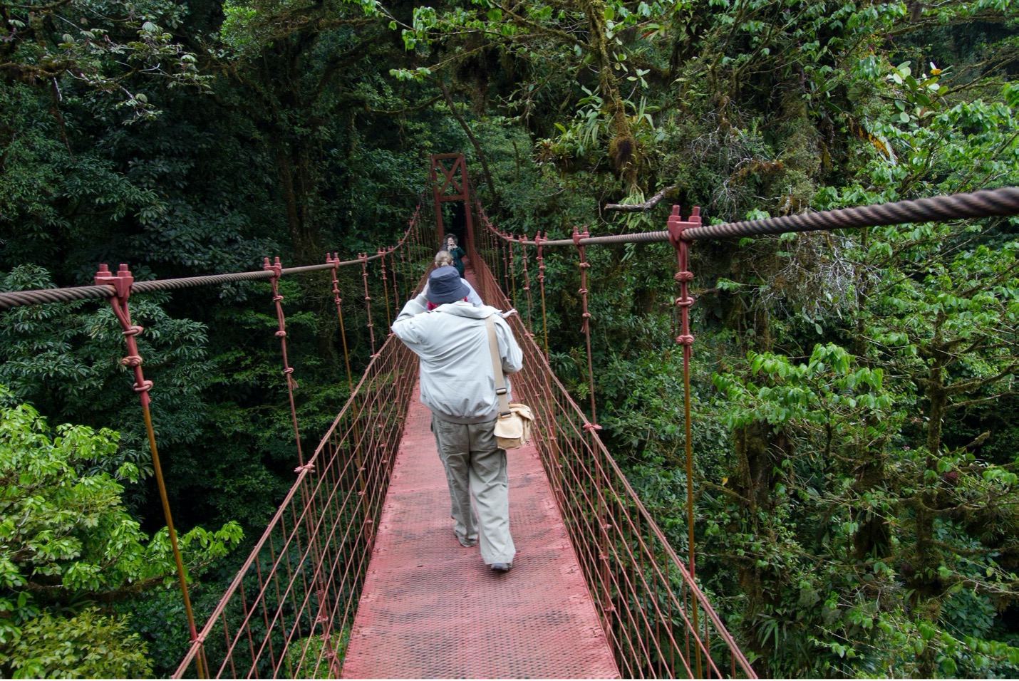 a canopy bridge in costa rica