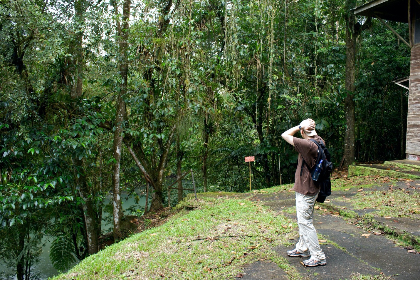 a man looks around at the costa rica jungle