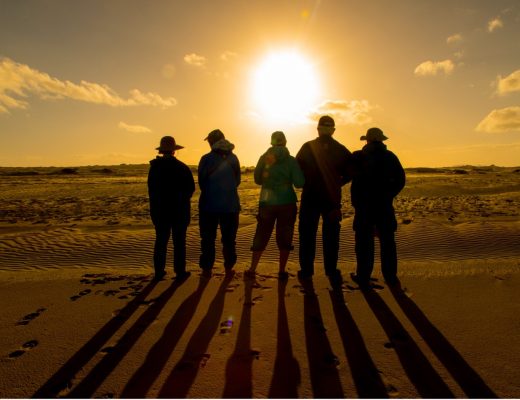 a line of travelers stand on the beach looking at the setting sun