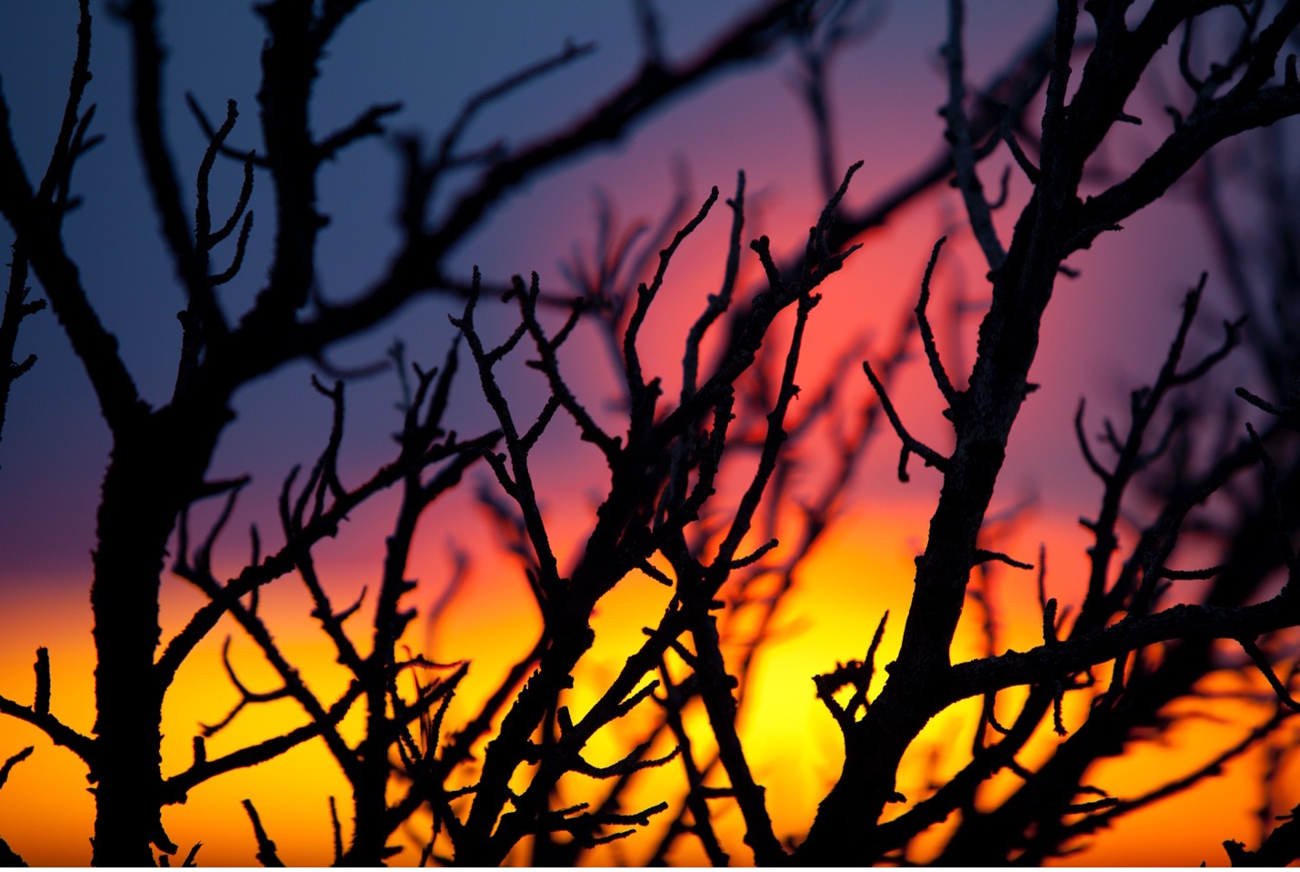 the colors of a grand canyon sunset