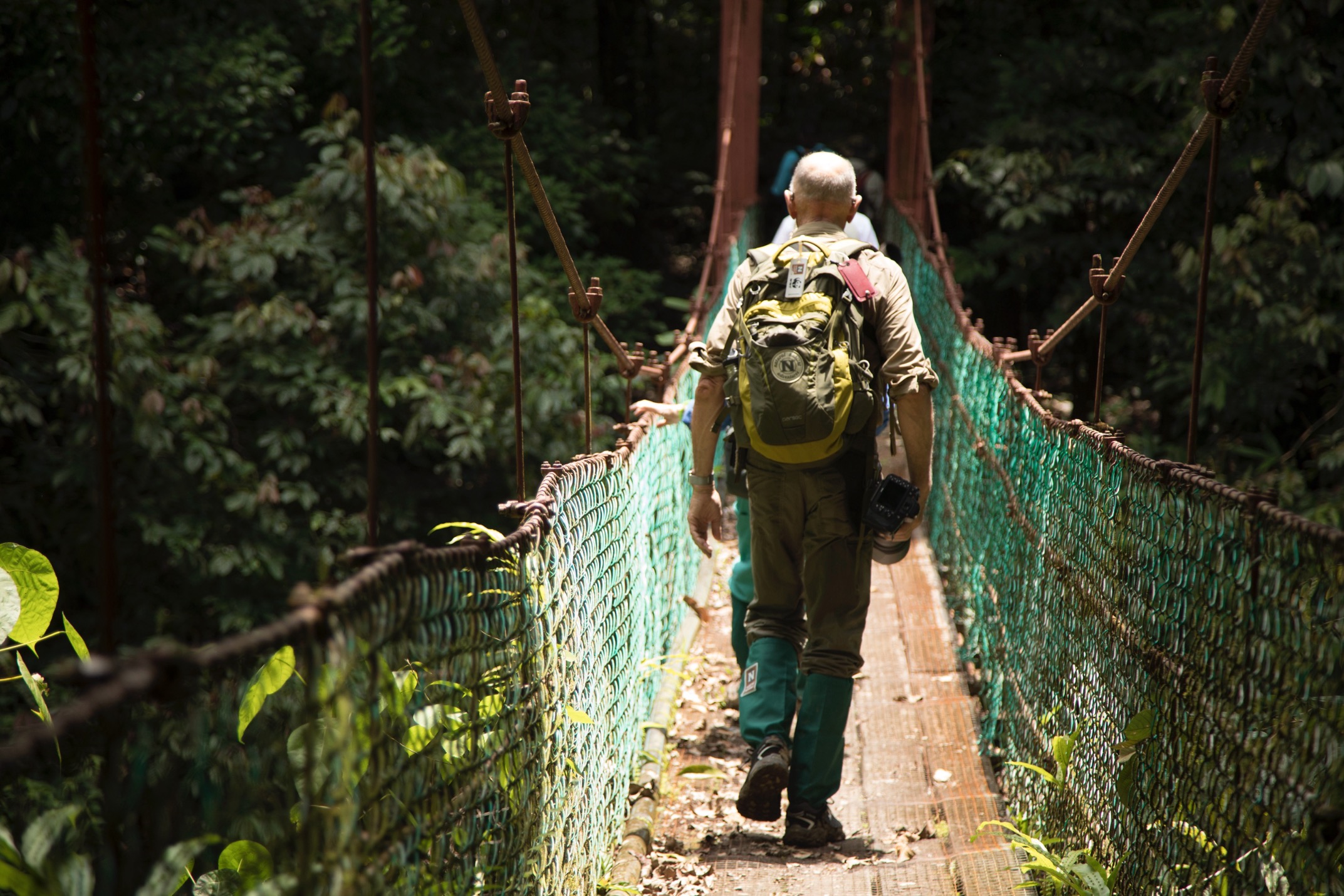 a traveler crosses a hanging bridge in borneo