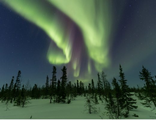 the northern lights dance over the tundra
