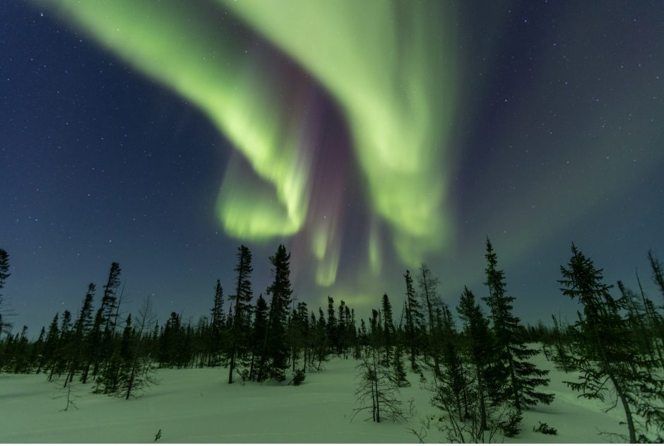 the northern lights dance over the tundra
