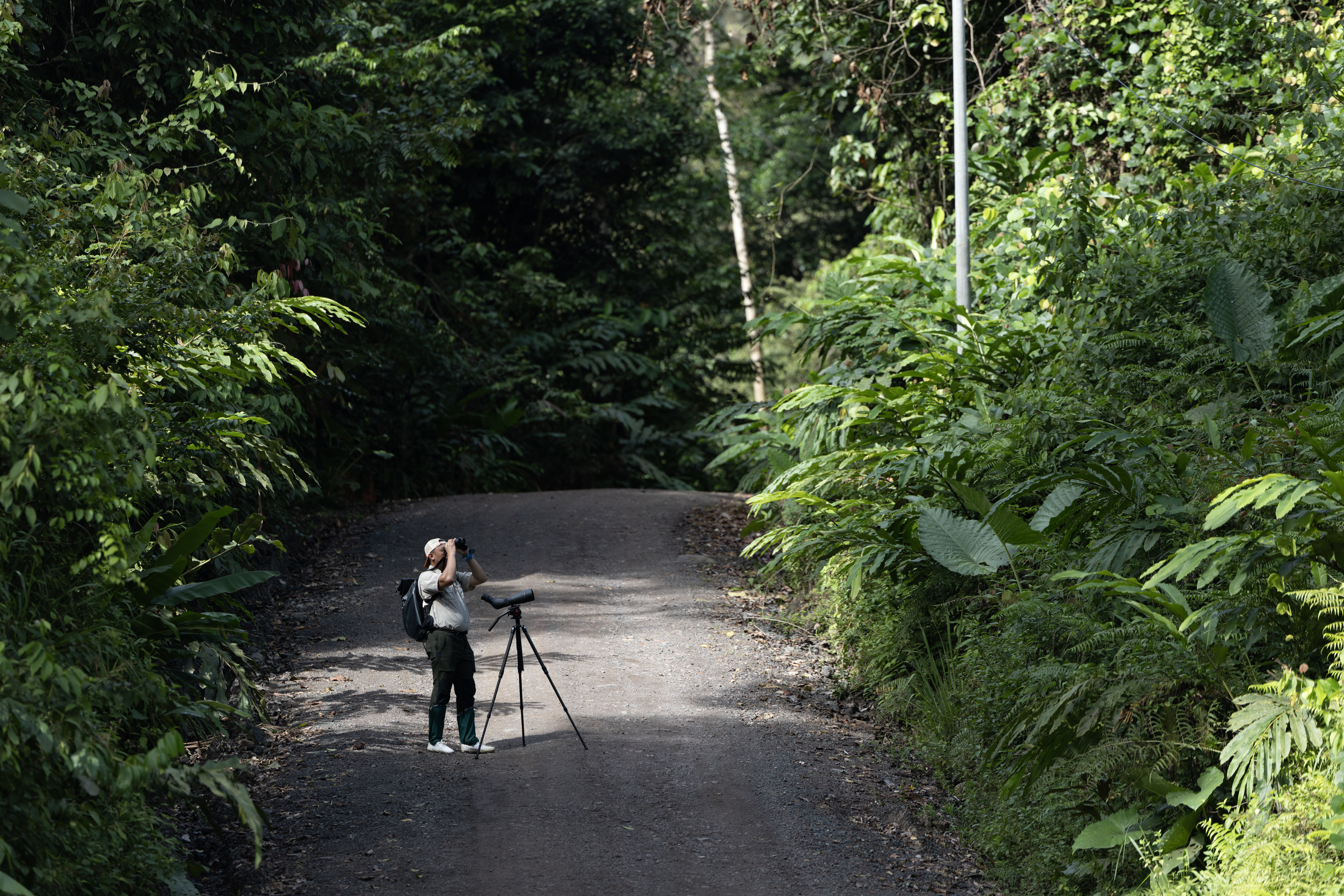 a guide in borneo