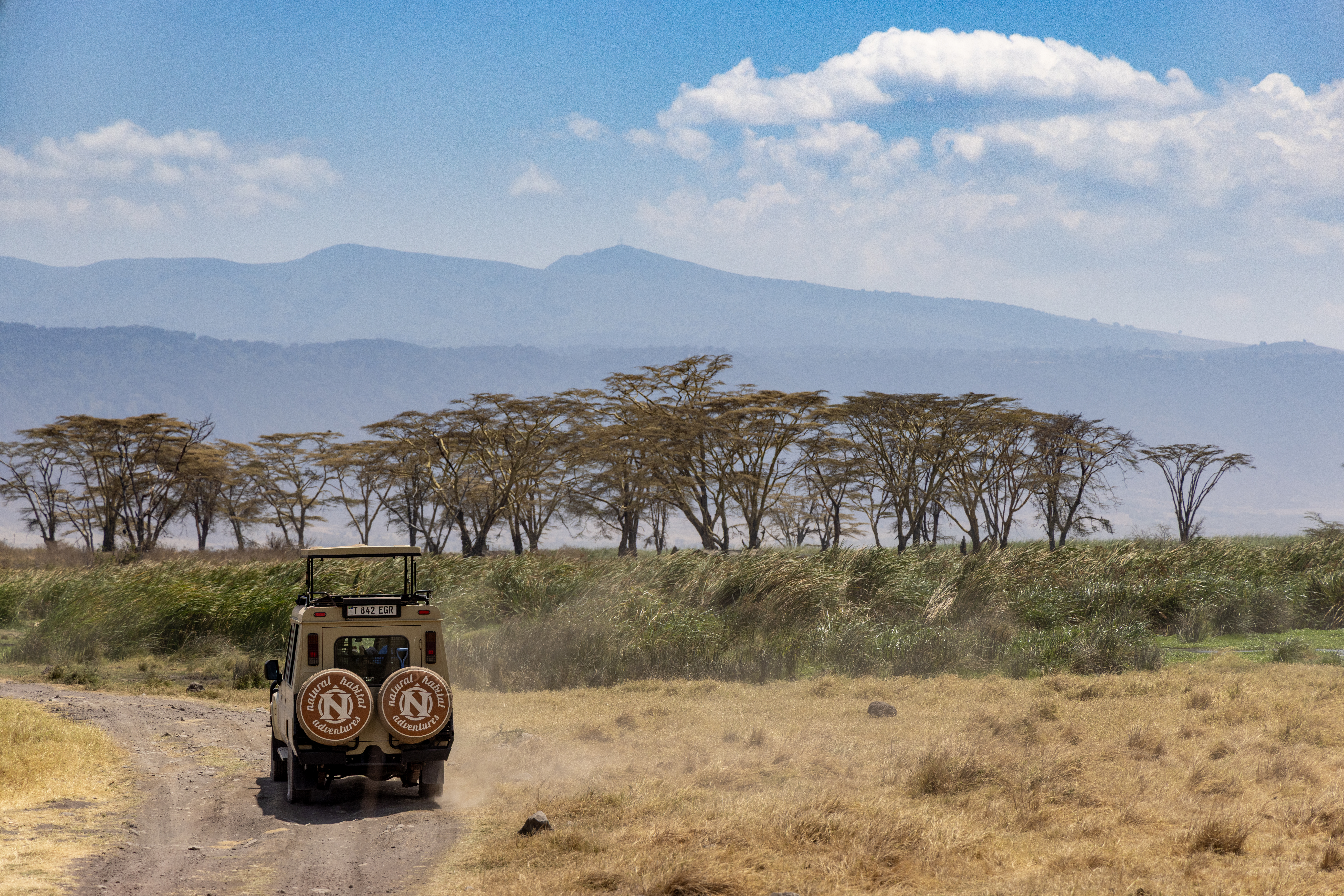 a nat hab safari vehicle looks at a beautiful vista