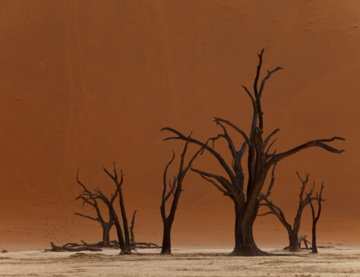 desert dune of namibia