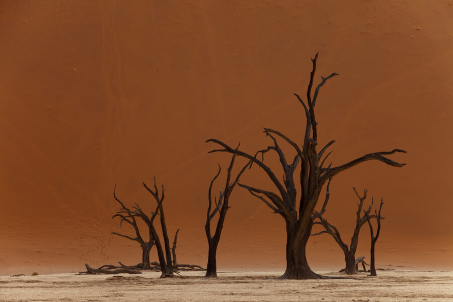 desert dune of namibia