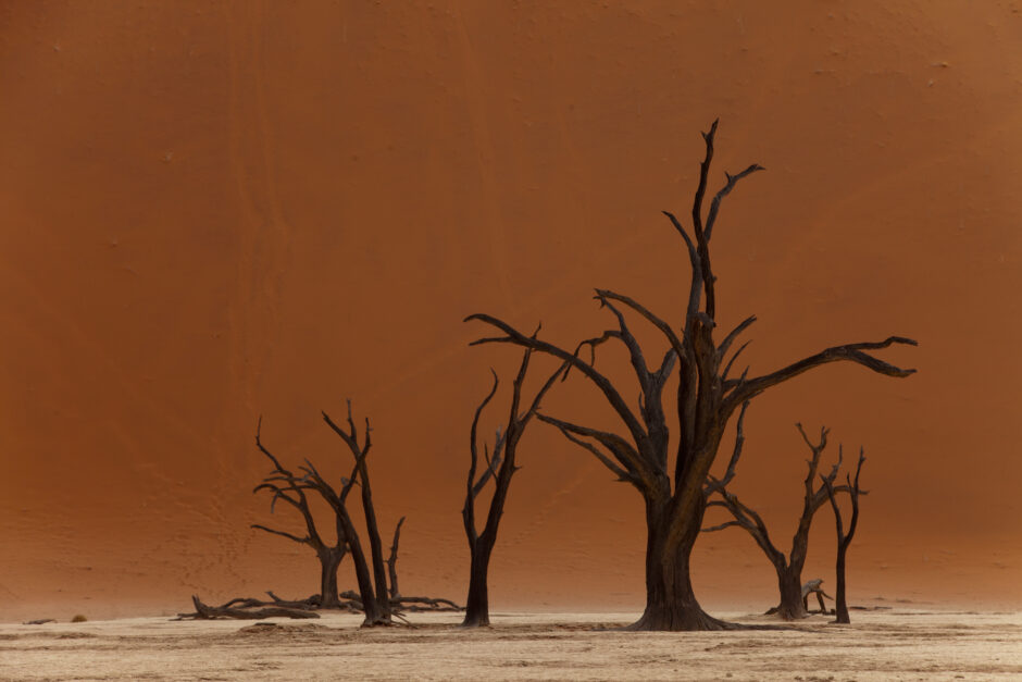 desert dune of namibia