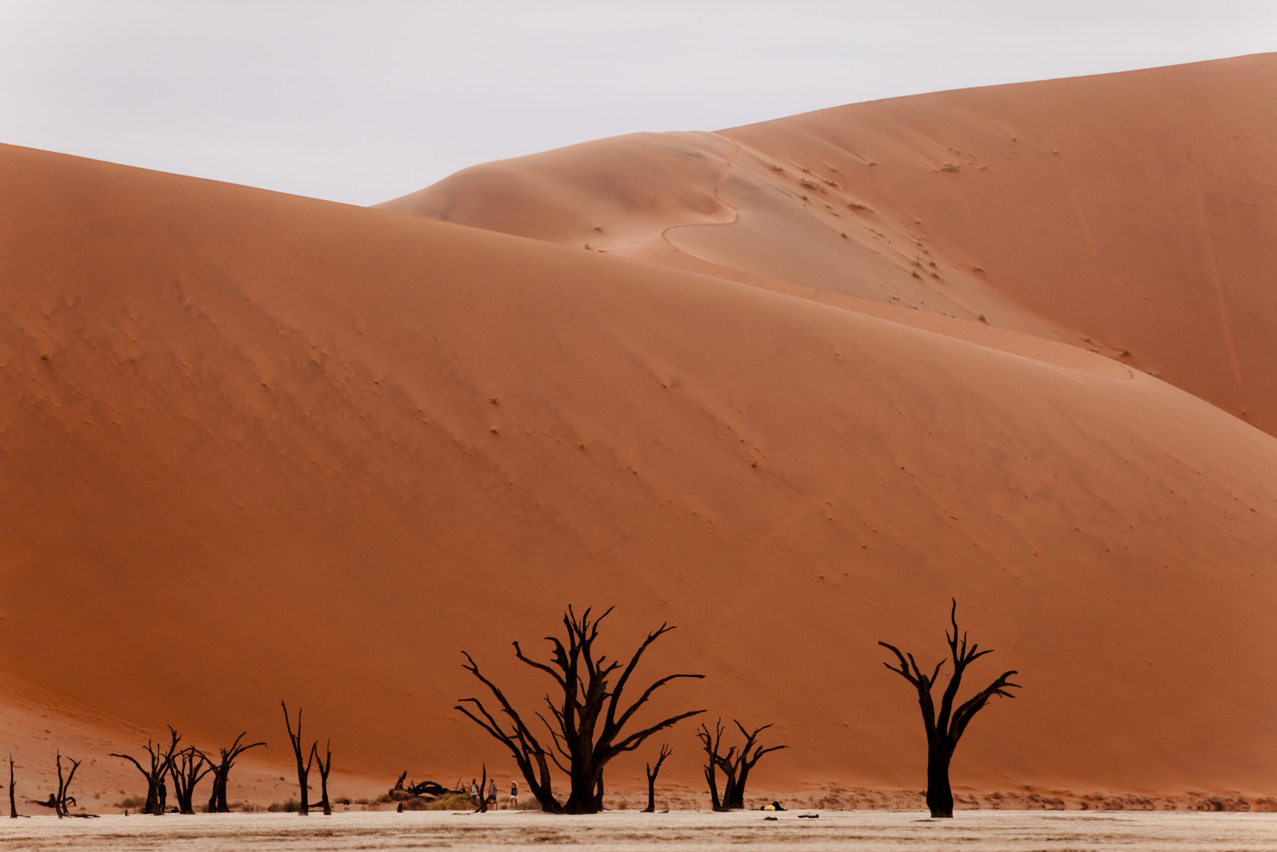 sossusvlei in Namibian desert