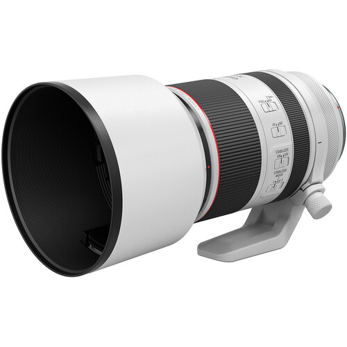 canon's 70-200mm lens for medium telephoto shots