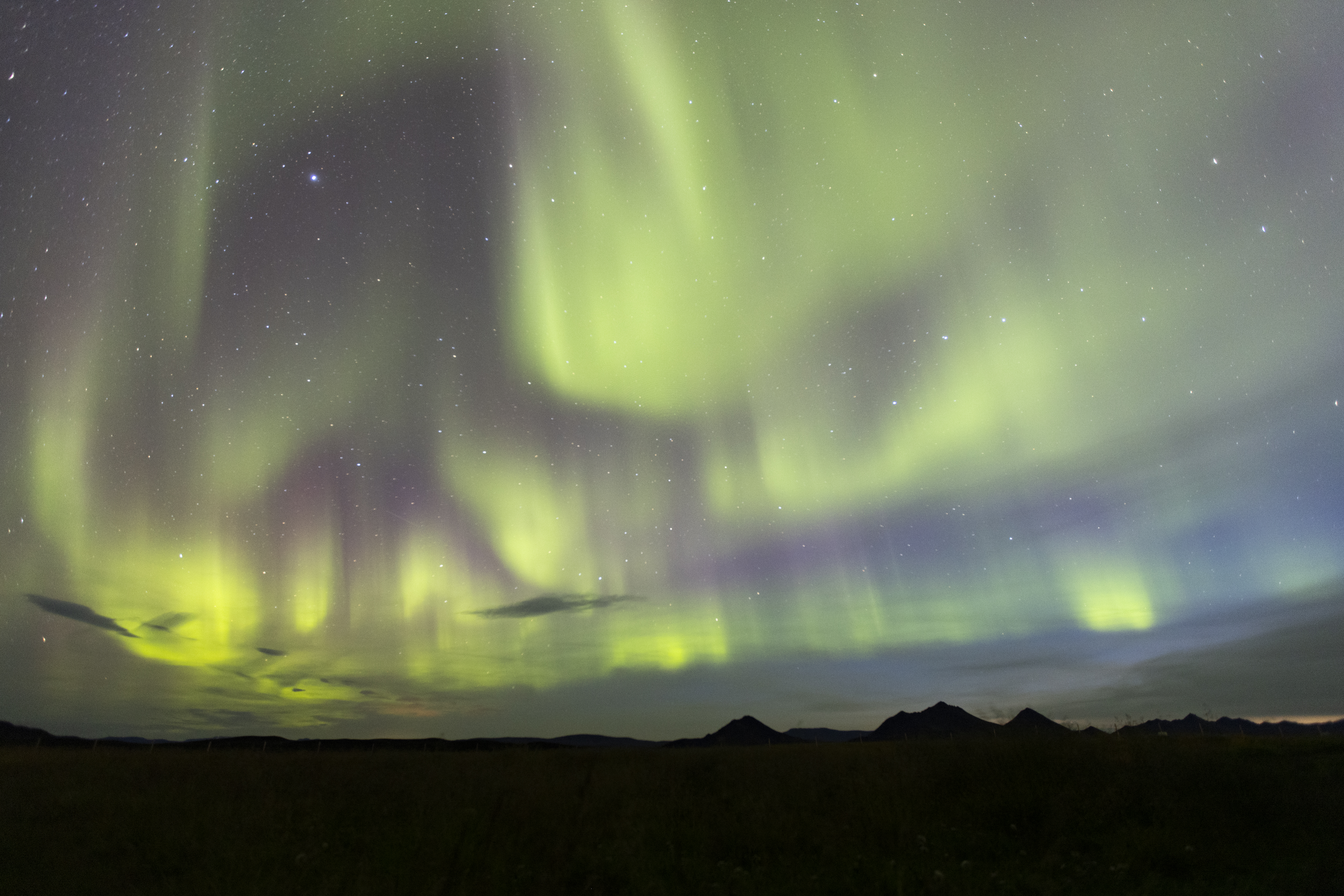 northern lights in iceland