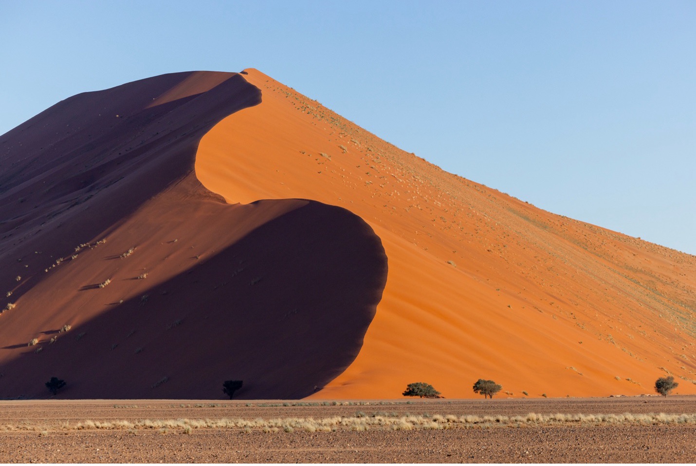towering sand dune of Namibia