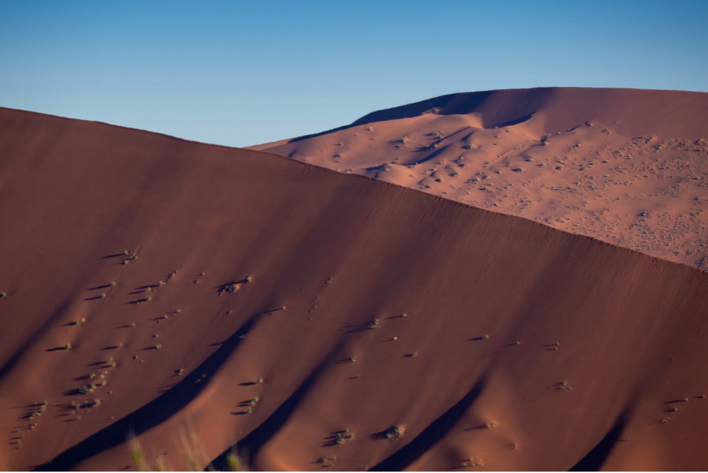 abstract ridges in dune in Namibia