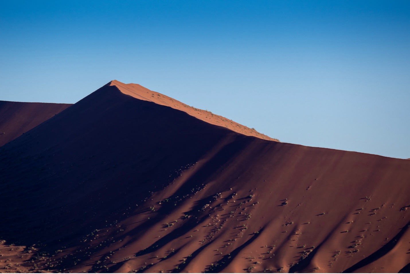 shadows play on a dune in Namibia